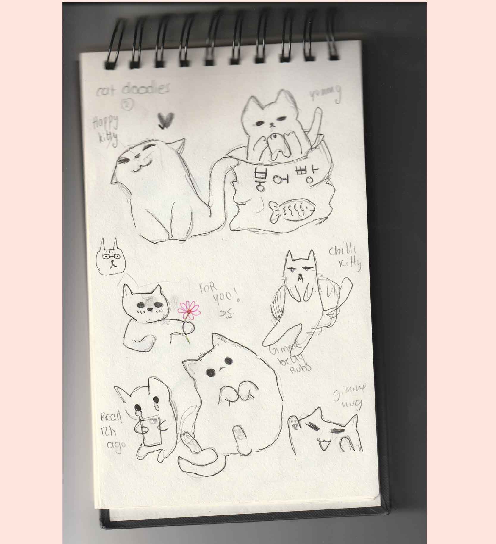 wonderful cats design